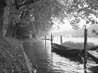 Herbst am Rhein
