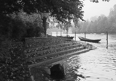 Herbst am Rhein