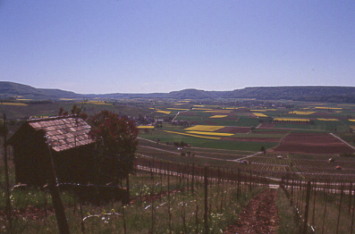 Klettgau 2003