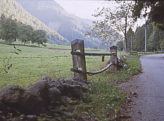 Der alte Weg ins Simmental